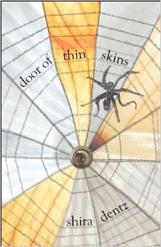 Door of thin skins