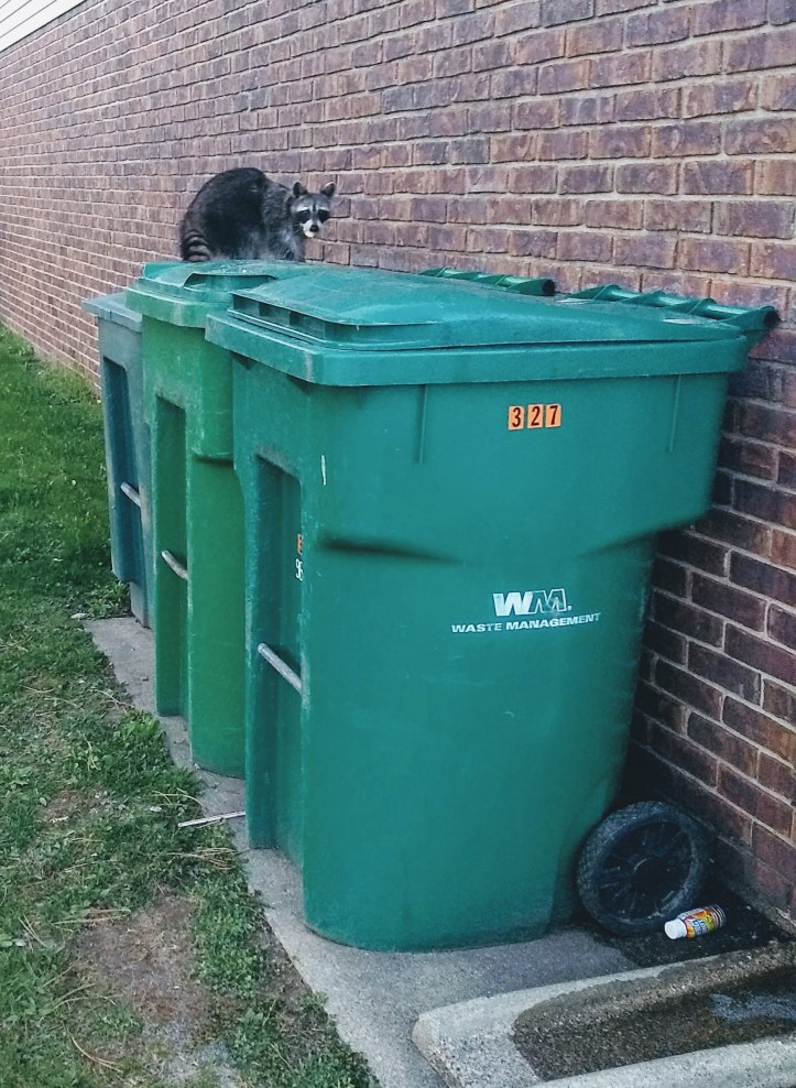 IMG_20180428_203944964 (1).jpg